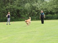 Bendix und das Boxband (64)